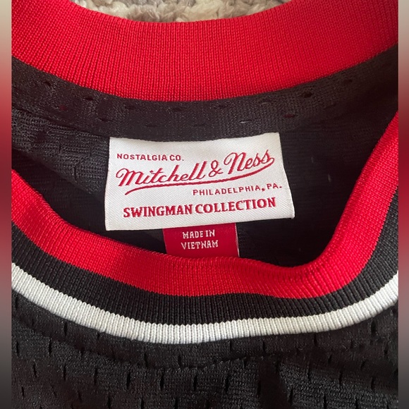 Scottie Pippen Youth Retro Jersey - Picture 4 of 4